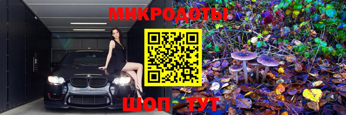 Хасавюрт  Галлюциногенные грибы Magic Shrooms  Вход с VPN 