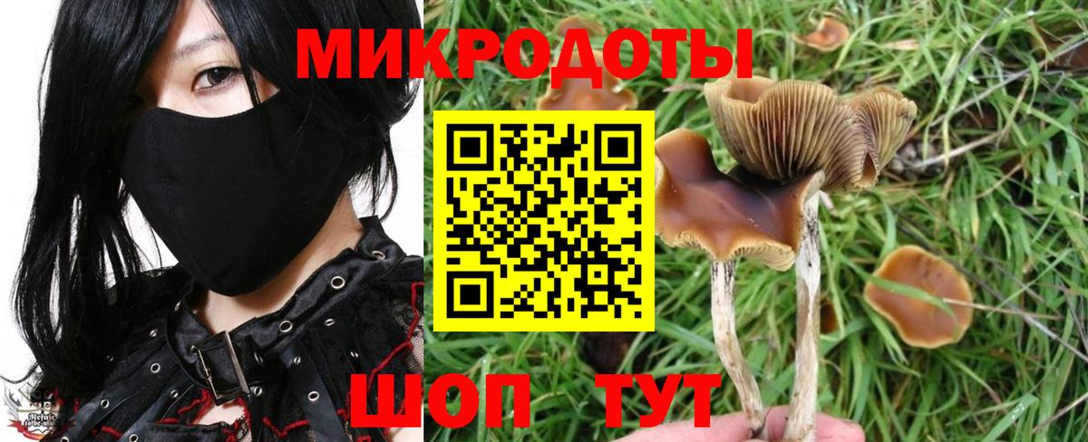 Галлюциногенные грибы мухоморы Хасавюрт